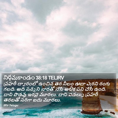 నిర్గమకాండం 38:18 TELIRV Bible Verse Image
