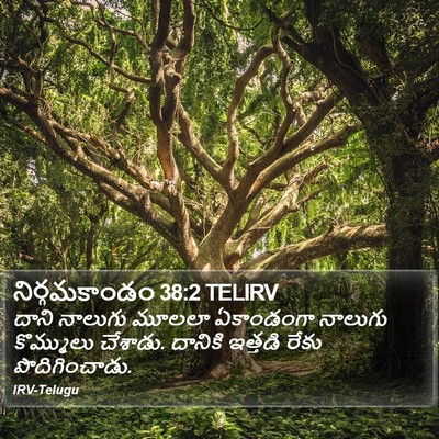 నిర్గమకాండం 38:2 TELIRV Bible Verse Image
