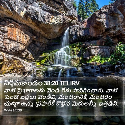 నిర్గమకాండం 38:20 TELIRV Bible Verse Image