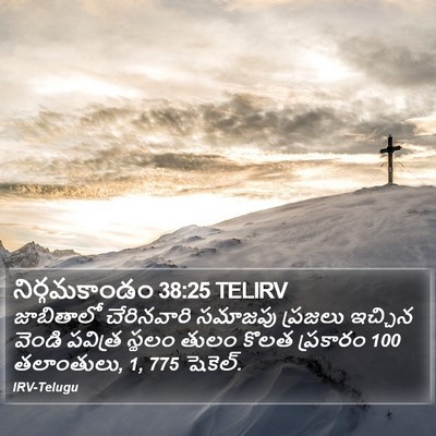 నిర్గమకాండం 38:25 TELIRV Bible Verse Image