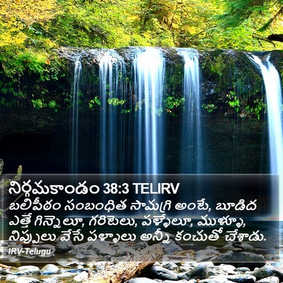 నిర్గమకాండం 38:3 TELIRV Bible Verse Image
