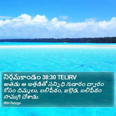 నిర్గమకాండం 38:30 TELIRV Bible Verse Image