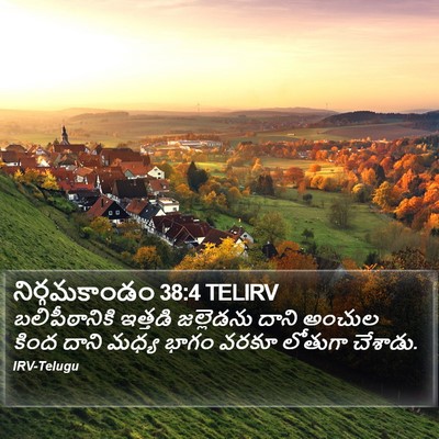 నిర్గమకాండం 38:4 TELIRV Bible Verse Image
