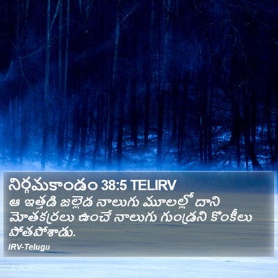 నిర్గమకాండం 38:5 TELIRV Bible Verse Image