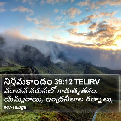 నిర్గమకాండం 39:12 TELIRV Bible Verse Image