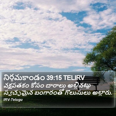 నిర్గమకాండం 39:15 TELIRV Bible Verse Image