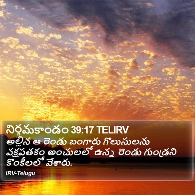 నిర్గమకాండం 39:17 TELIRV Bible Verse Image