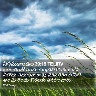 నిర్గమకాండం 39:19 TELIRV Bible Verse Image