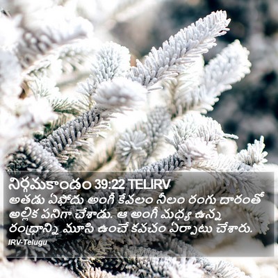 నిర్గమకాండం 39:22 TELIRV Bible Verse Image