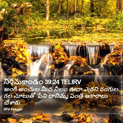 నిర్గమకాండం 39:24 TELIRV Bible Verse Image