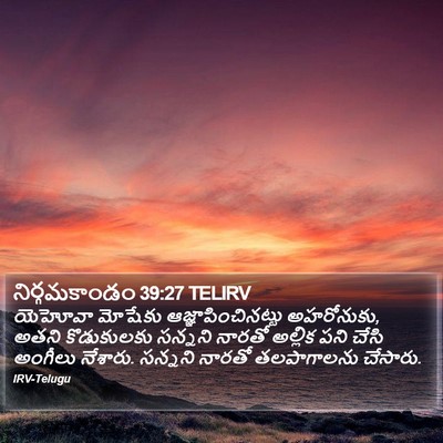 నిర్గమకాండం 39:27 TELIRV Bible Verse Image