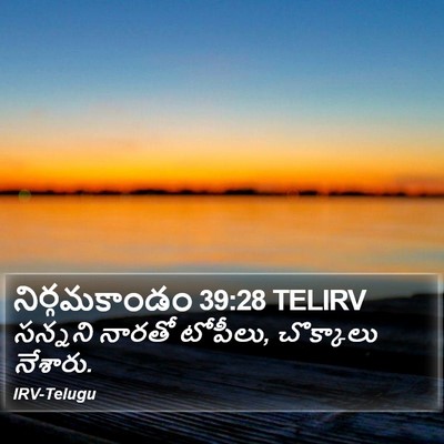 నిర్గమకాండం 39:28 TELIRV Bible Verse Image