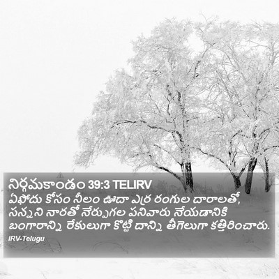 నిర్గమకాండం 39:3 TELIRV Bible Verse Image
