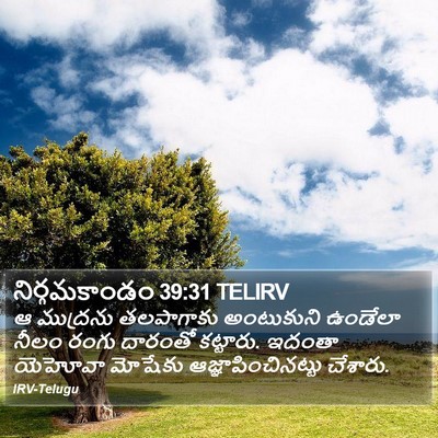 నిర్గమకాండం 39:31 TELIRV Bible Verse Image