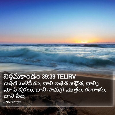 నిర్గమకాండం 39:39 TELIRV Bible Verse Image