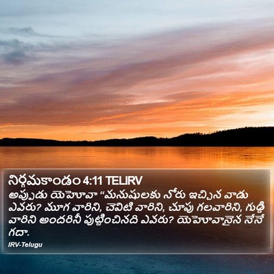 నిర్గమకాండం 4:11 TELIRV Bible Verse Image