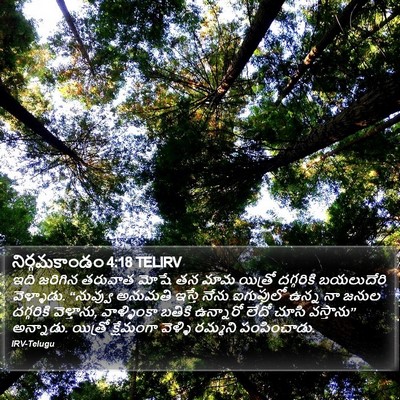 నిర్గమకాండం 4:18 TELIRV Bible Verse Image