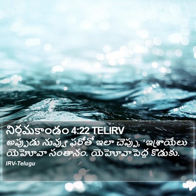 నిర్గమకాండం 4:22 TELIRV Bible Verse Image