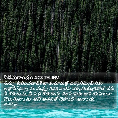 నిర్గమకాండం 4:23 TELIRV Bible Verse Image