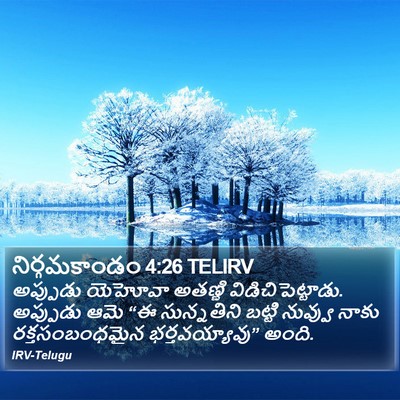 నిర్గమకాండం 4:26 TELIRV Bible Verse Image