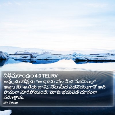 నిర్గమకాండం 4:3 TELIRV Bible Verse Image