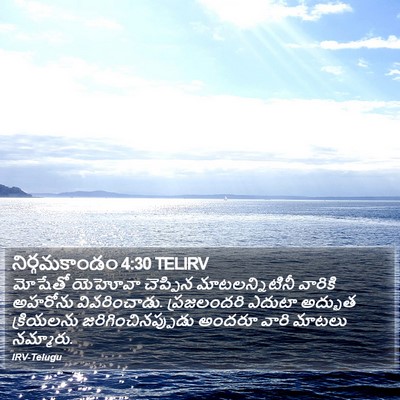నిర్గమకాండం 4:30 TELIRV Bible Verse Image