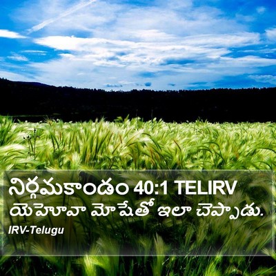 నిర్గమకాండం 40:1 TELIRV Bible Verse Image