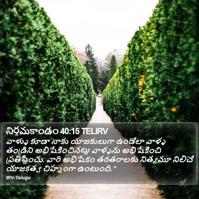 నిర్గమకాండం 40:15 TELIRV Bible Verse Image