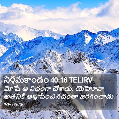 నిర్గమకాండం 40:16 TELIRV Bible Verse Image