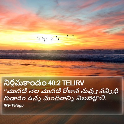 నిర్గమకాండం 40:2 TELIRV Bible Verse Image