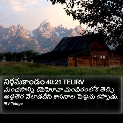 నిర్గమకాండం 40:21 TELIRV Bible Verse Image