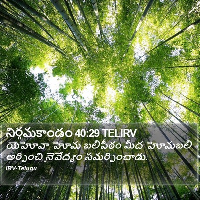 నిర్గమకాండం 40:29 TELIRV Bible Verse Image