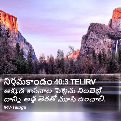 నిర్గమకాండం 40:3 TELIRV Bible Verse Image