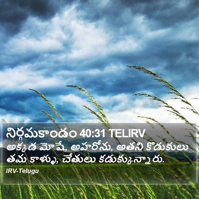 నిర్గమకాండం 40:31 TELIRV Bible Verse Image