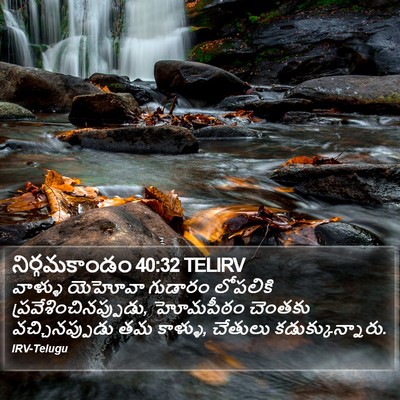 నిర్గమకాండం 40:32 TELIRV Bible Verse Image