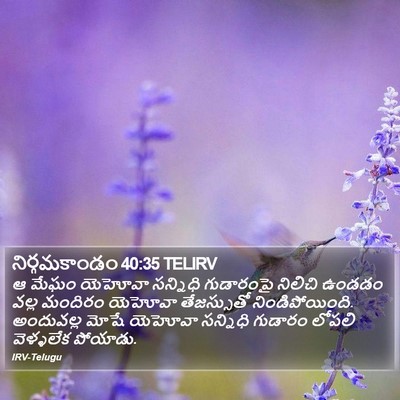 నిర్గమకాండం 40:35 TELIRV Bible Verse Image