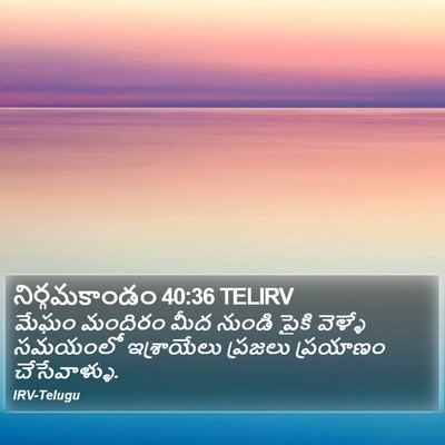 నిర్గమకాండం 40:36 TELIRV Bible Verse Image