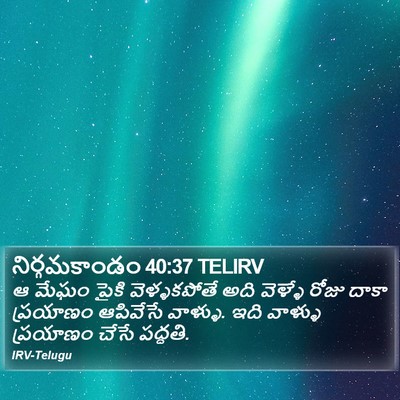 నిర్గమకాండం 40:37 TELIRV Bible Verse Image