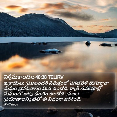 నిర్గమకాండం 40:38 TELIRV Bible Verse Image