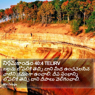 నిర్గమకాండం 40:4 TELIRV Bible Verse Image