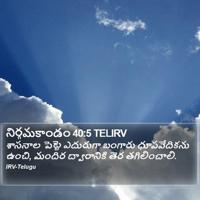 నిర్గమకాండం 40:5 TELIRV Bible Verse Image