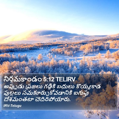 నిర్గమకాండం 5:12 TELIRV Bible Verse Image