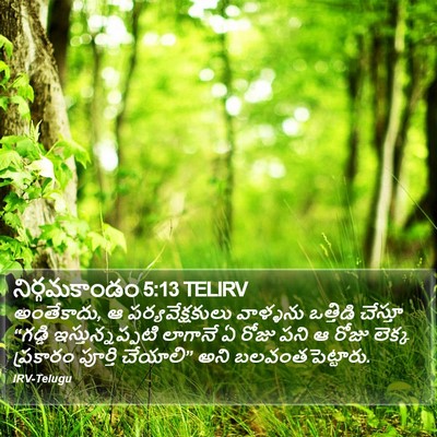 నిర్గమకాండం 5:13 TELIRV Bible Verse Image