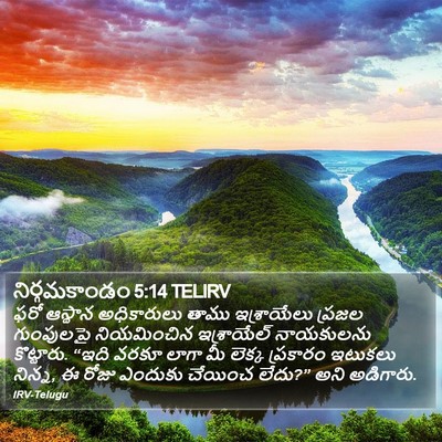 నిర్గమకాండం 5:14 TELIRV Bible Verse Image
