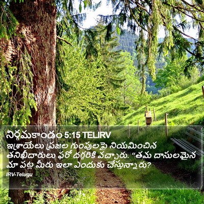 నిర్గమకాండం 5:15 TELIRV Bible Verse Image