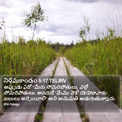 నిర్గమకాండం 5:17 TELIRV Bible Verse Image