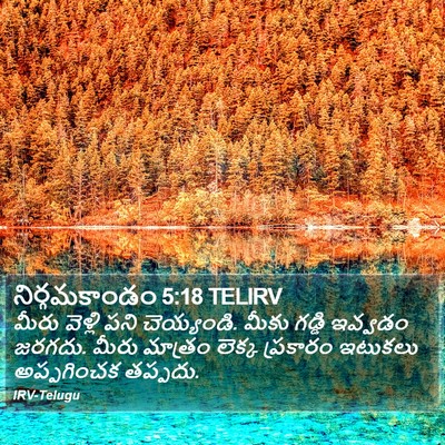 నిర్గమకాండం 5:18 TELIRV Bible Verse Image