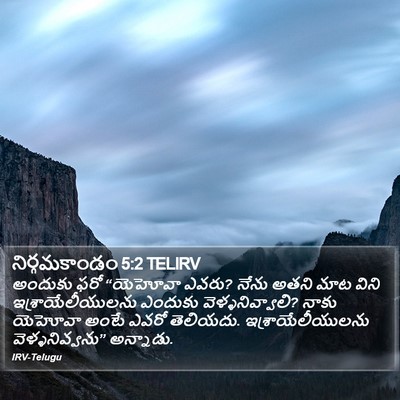 నిర్గమకాండం 5:2 TELIRV Bible Verse Image