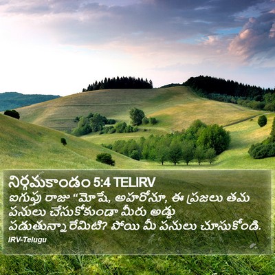 నిర్గమకాండం 5:4 TELIRV Bible Verse Image