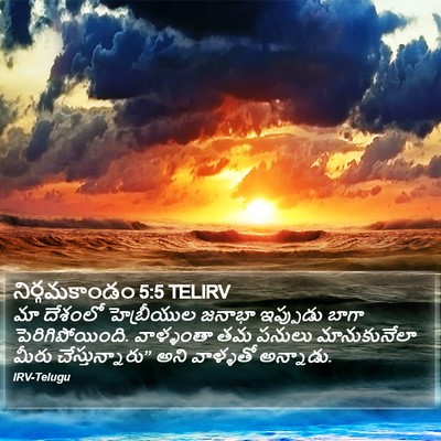 నిర్గమకాండం 5:5 TELIRV Bible Verse Image